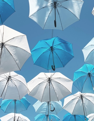 Service Professional Liability