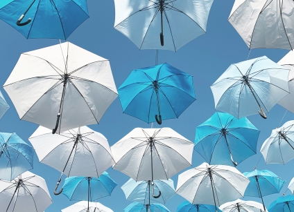 Service Professional Liability